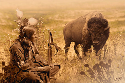 Bison and the Native Americans