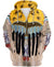 Native Coyote Spirit - Native American Pride Shop